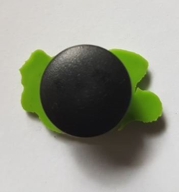 Achterkant schildpad