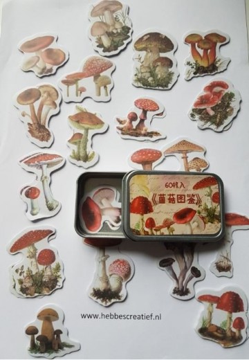 Blikje paddestoelen