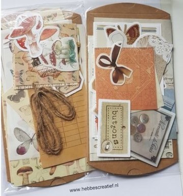 Doosje vlinder button 1