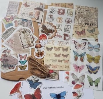 Doosje vlinders