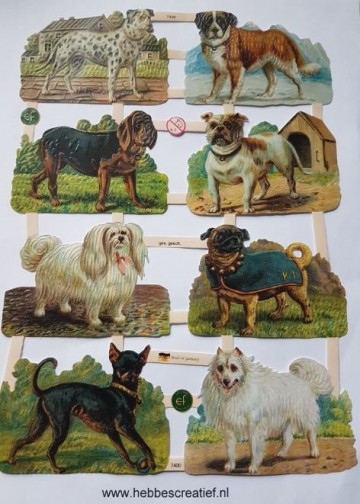 Poezieplaatjes honden 7430