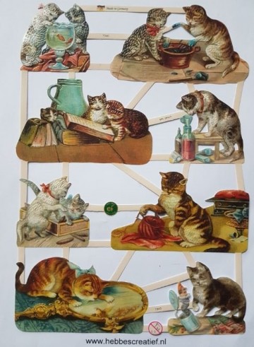 Poezieplaatjes katten en poezen nummer 7340