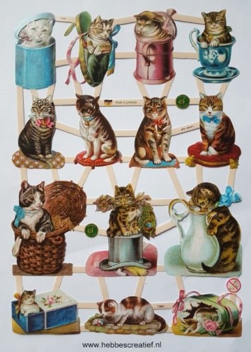 Poezieplaatjes kleine poezen en katten nummer 7360