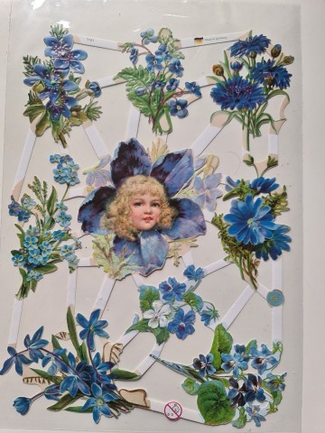 Poezieplaatjes korenbloem