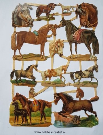 Poezieplaatjes paarden 7211