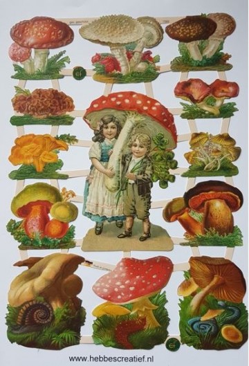 Poezieplaatjes paddenstoelen 7355