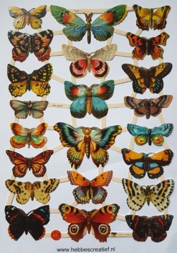 Poezieplaatjes vlinder 7426