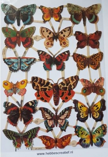 Poezieplaatjes vlinders 7221