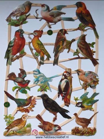 Poezieplaatjes vogels