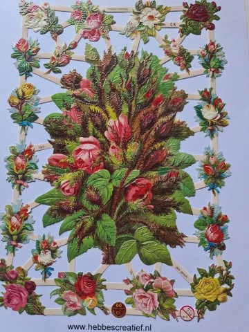 Rozenstruik 7307 wilde rozen