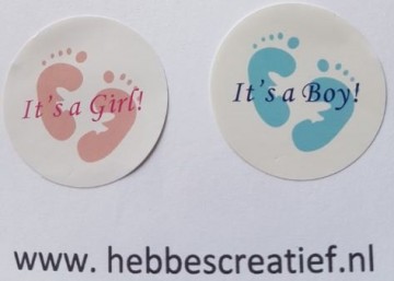 Sticker its a boy its a girl