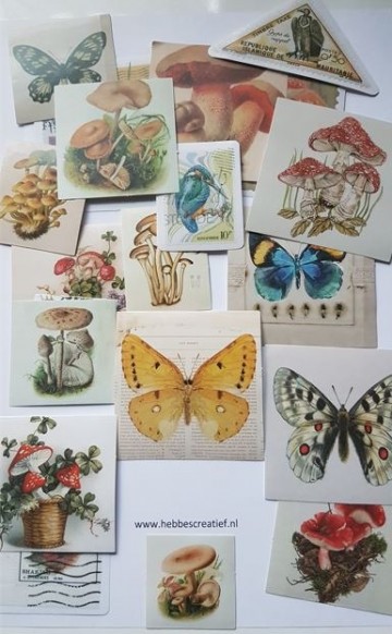 Sticker papier vlinder padde 4