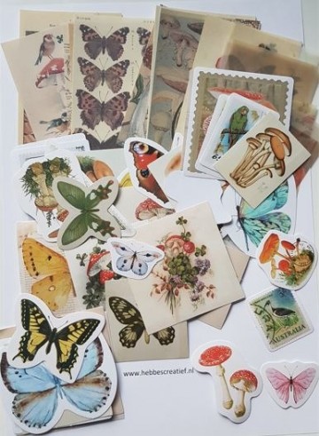 Sticker papier vlinder padde 6