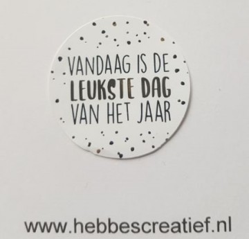 Sticker vandaag is de leukste dag