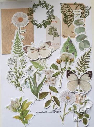 Stickers bloem en vlinder papierproject groen wit