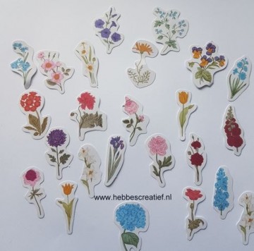 Stickers bloem smal lente