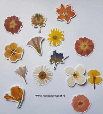 Stickers bloemen 3 x 15  roze pakje