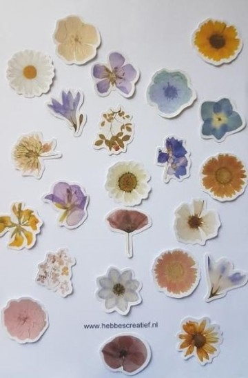 Stickers bloemen 46 stickers doosje margriet