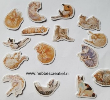 Stickers katten poezen