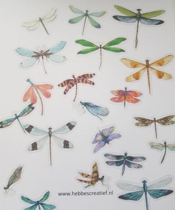 Stickers libelle 20 stuks x 2