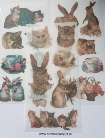 Stickers poezen en konijnen