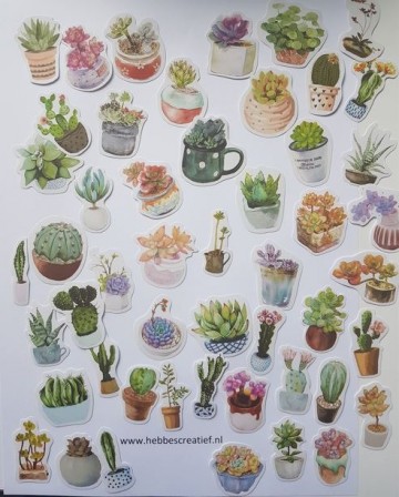 Stickers stickers en vetplanten 50 stuks