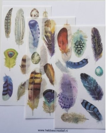 Stickers veren 3 vel  198 x 98 cm