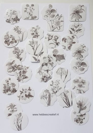 Stickers zwart wit bloemen