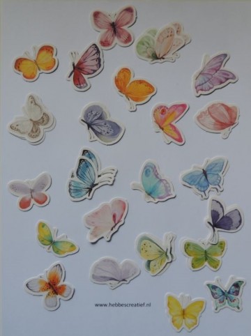 Vlinders pakje kleine vlinders