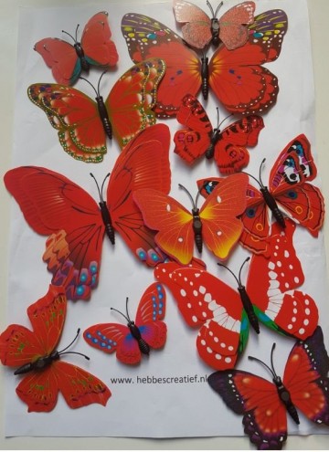 Vlinders rood